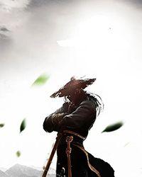 咸鱼皇妃升职记格格党